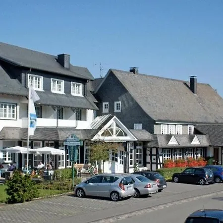 فندق Sangermann 3*